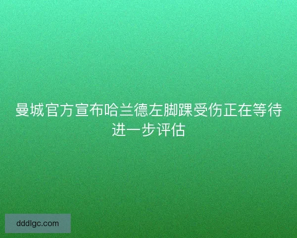 曼城官方宣布哈兰德左脚踝受伤正在等待进一步评估
